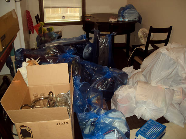 Best Basement Cleanout Services  in Clinton, MI